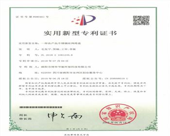 實(shí)用新型專利證書8